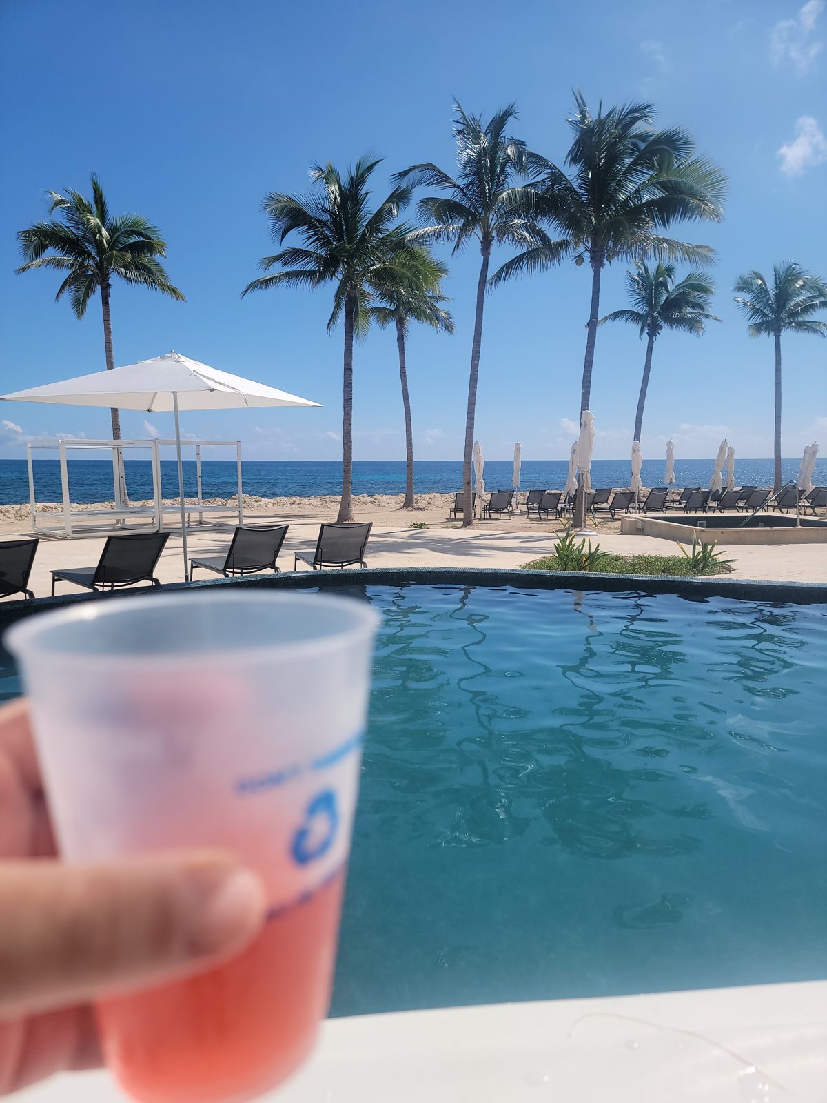 Palm-lined pool by the Gulf coast